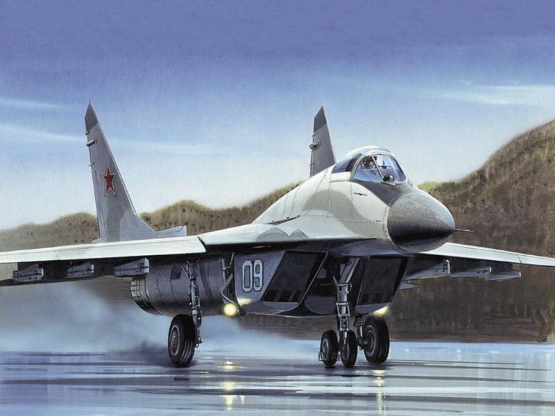 mig291024.jpg