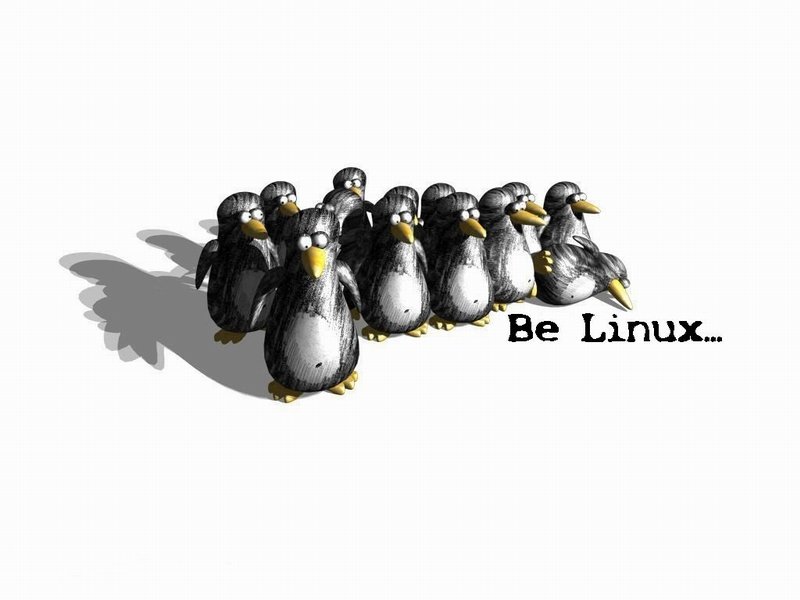 belinux.jpg